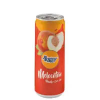 ROSTOY CANETTE PECHE 330ML*12